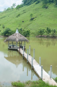 Rancher's lake with dock and palapa