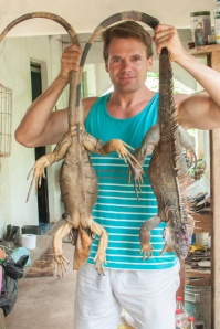 Two of the three iguanas captured by the rancher
