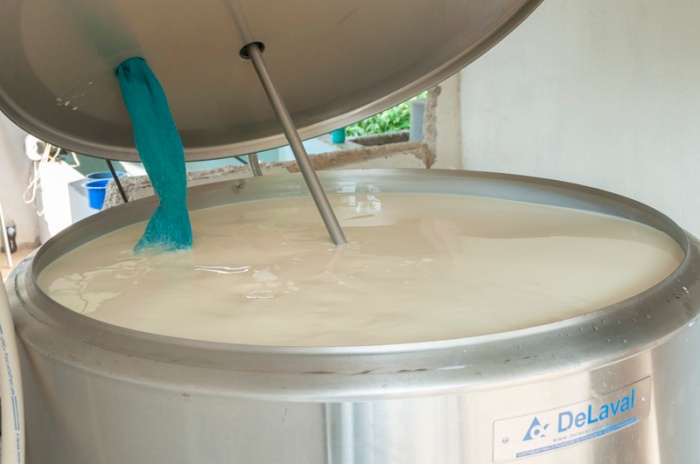 1000 liters of fresh raw whole milk in refrigerated vat.