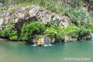 Natural freshwater springs pour forth from the rock